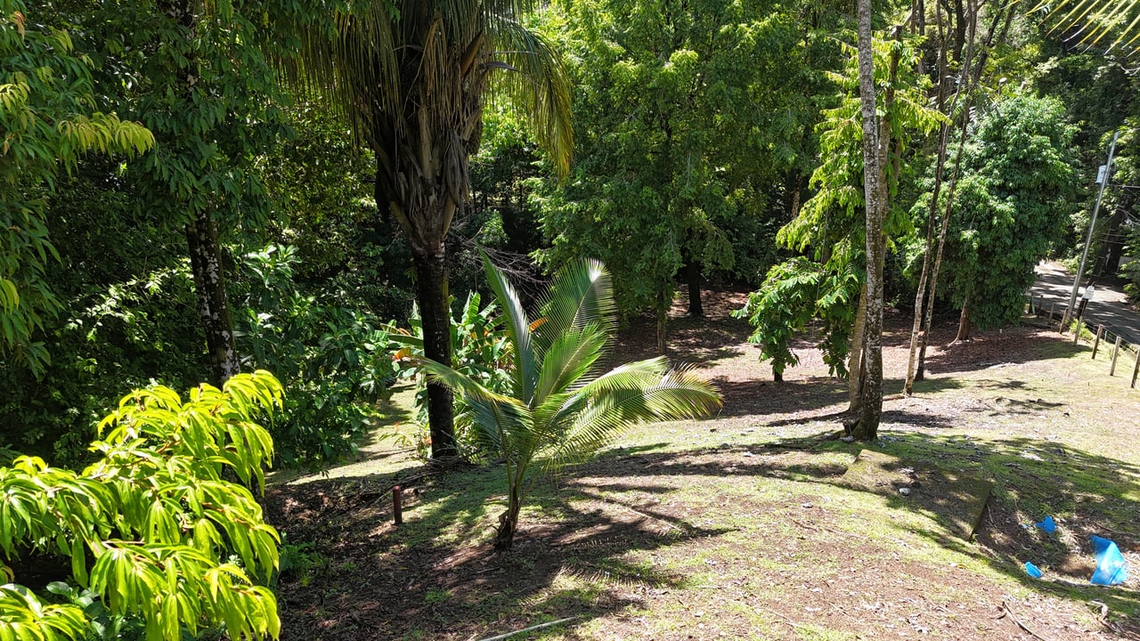 Walk to the Playitas beach, Titlled Building lot