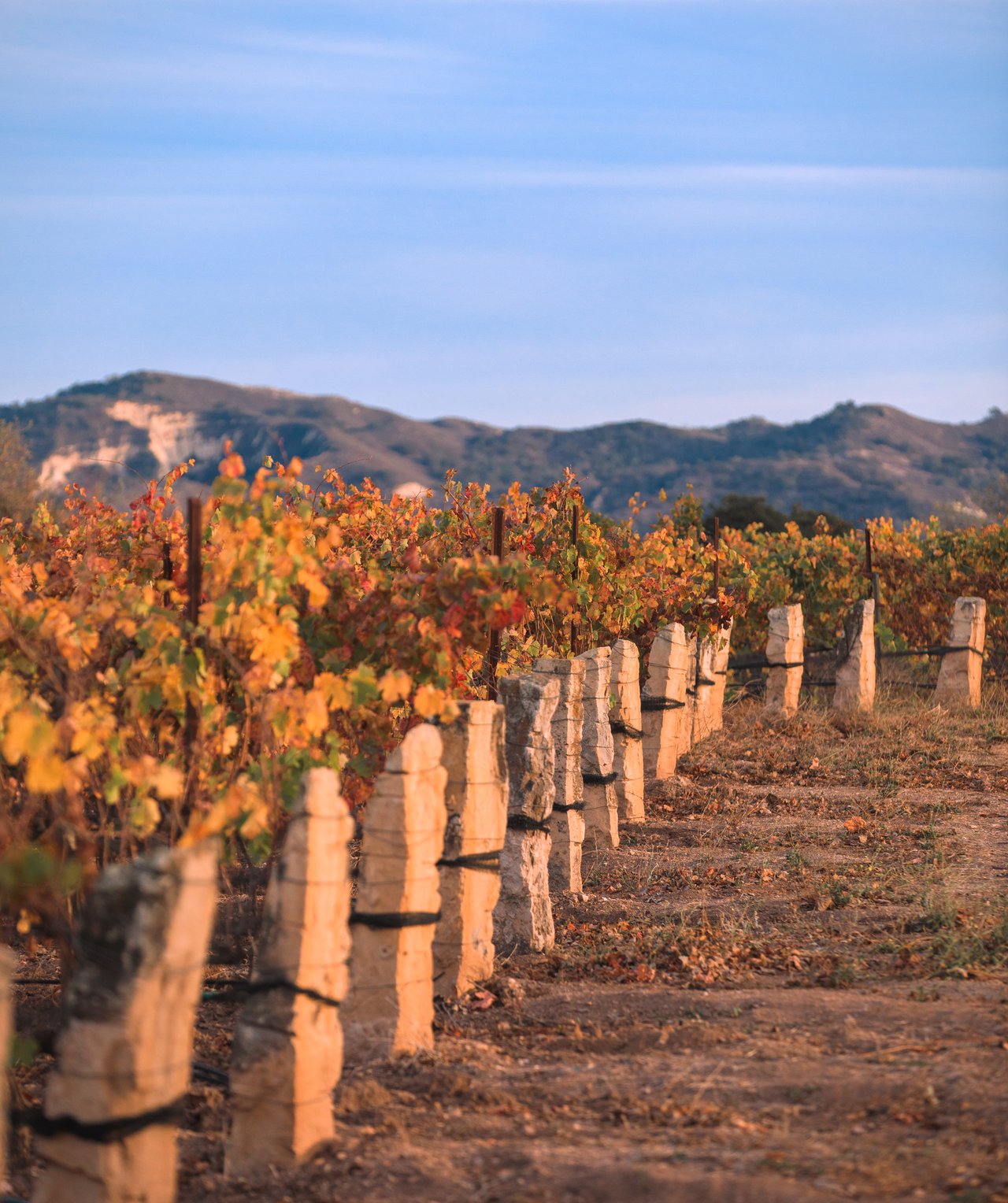 Rancho la Zaca
