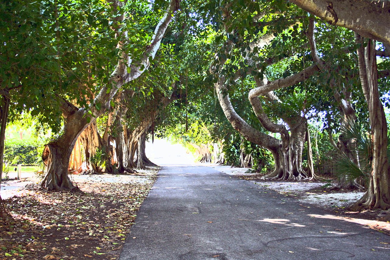 Boca Grande
