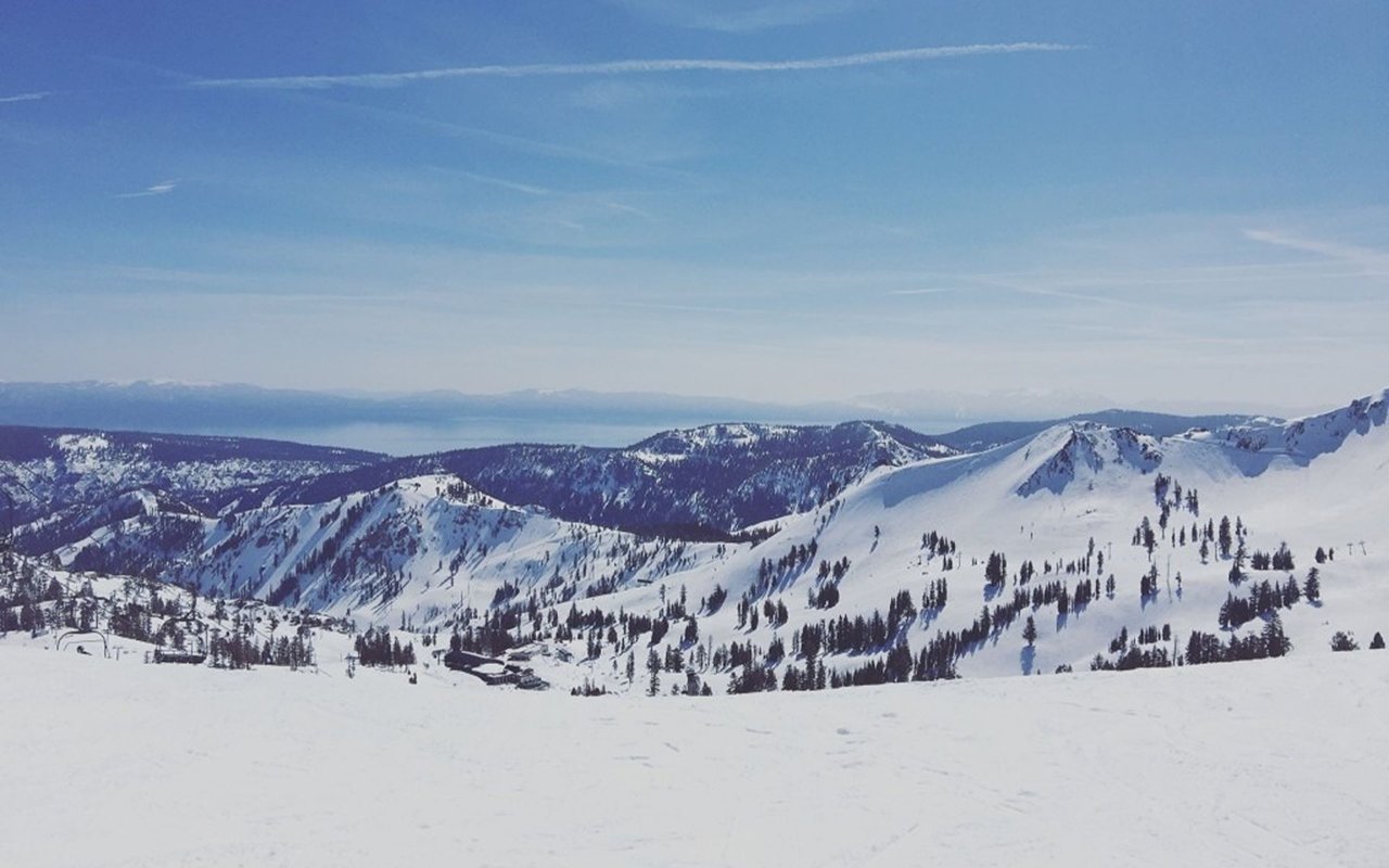 Snow-covered mountain ski slopes and evergreen trees beneath a clear blue sky.