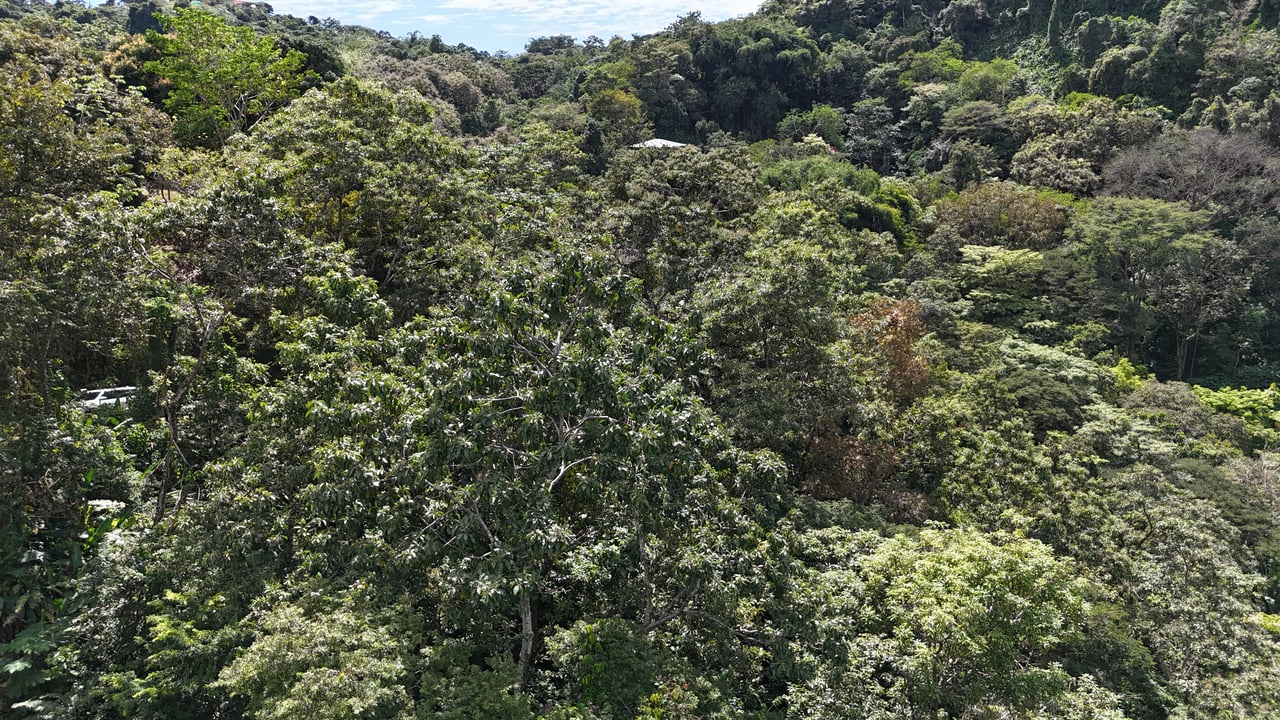 Luxury Gated Ocean-View Land Minutes from Manuel Antonio National Park and Marina