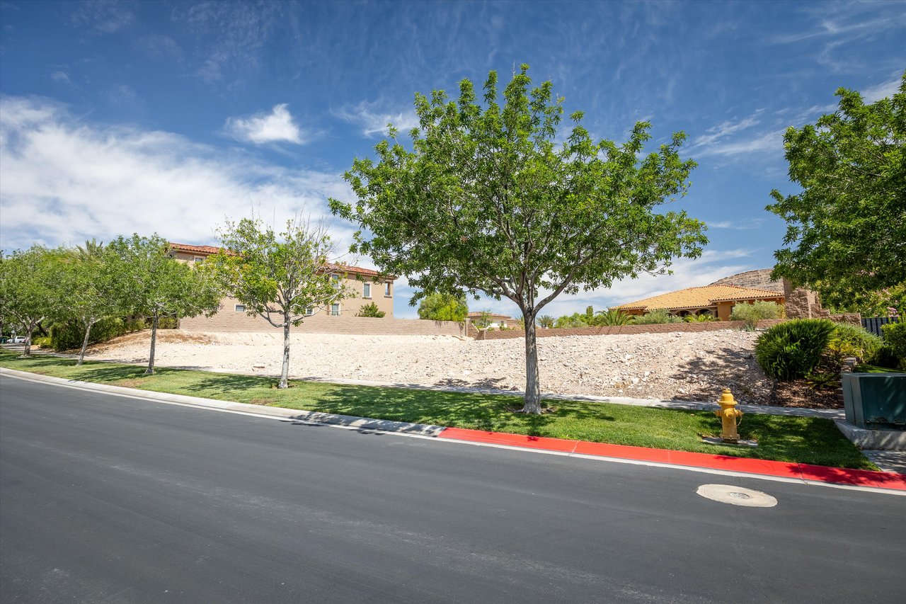 28 Vintage Canyon Street