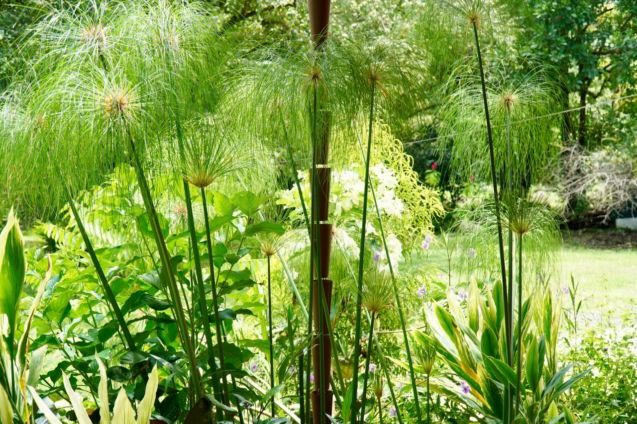 12.5 Acre property In-town for expansion, Enjoyment or Development