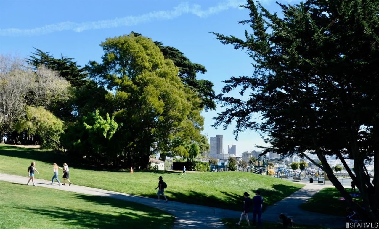 Best Outdoor Activities in Pacific Heights for an Active Lifestyle