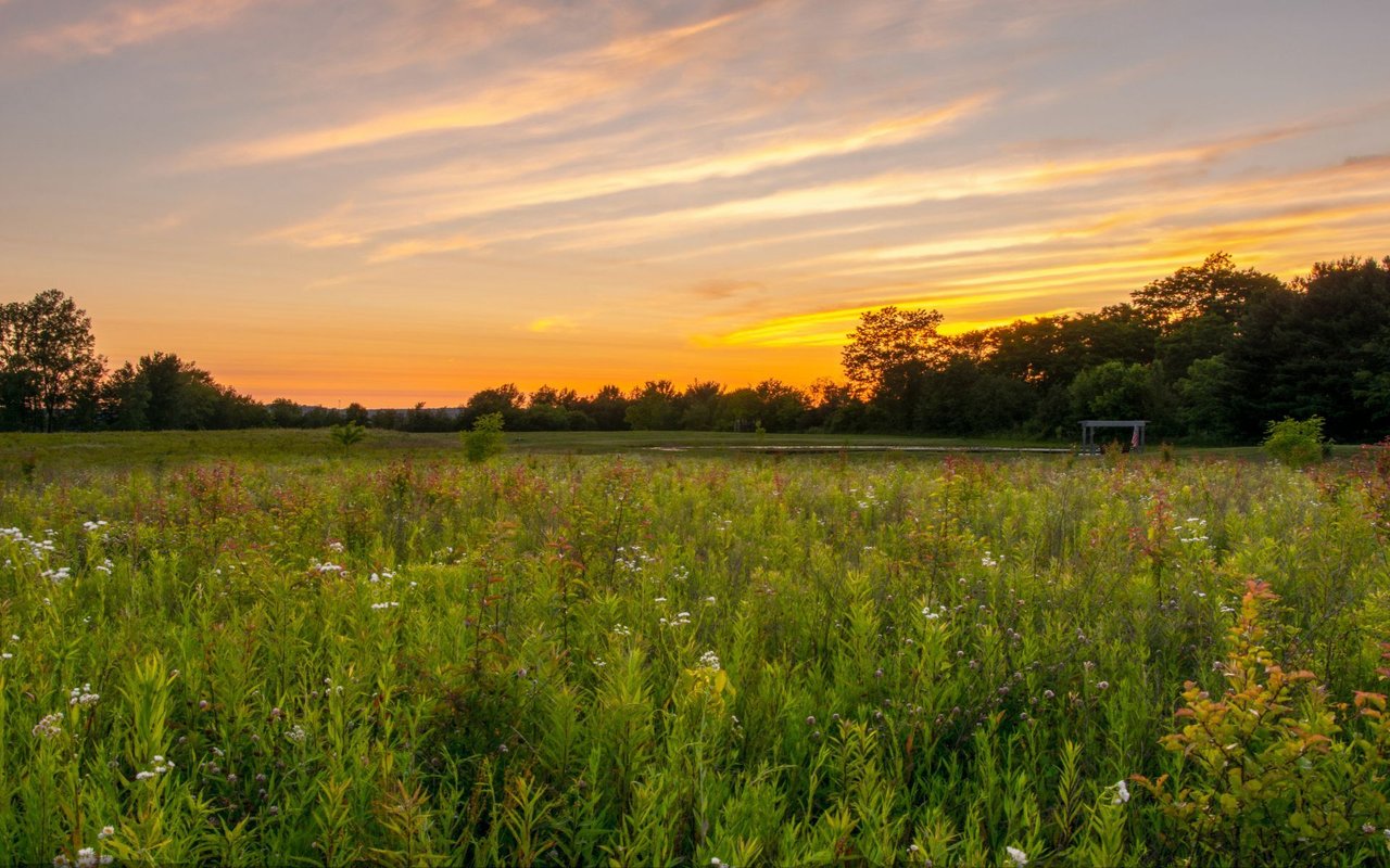 Medina County