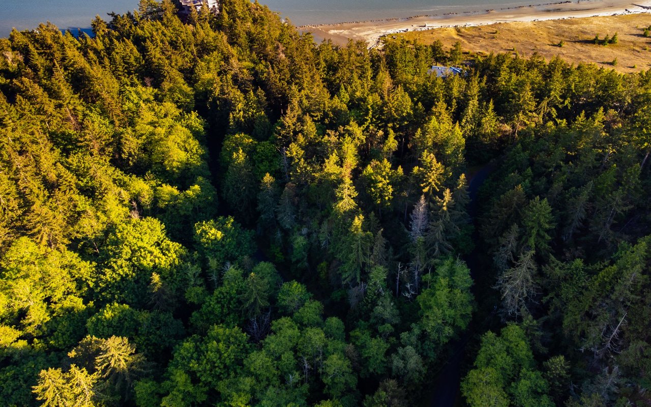 Anacortes Real Estate Agent