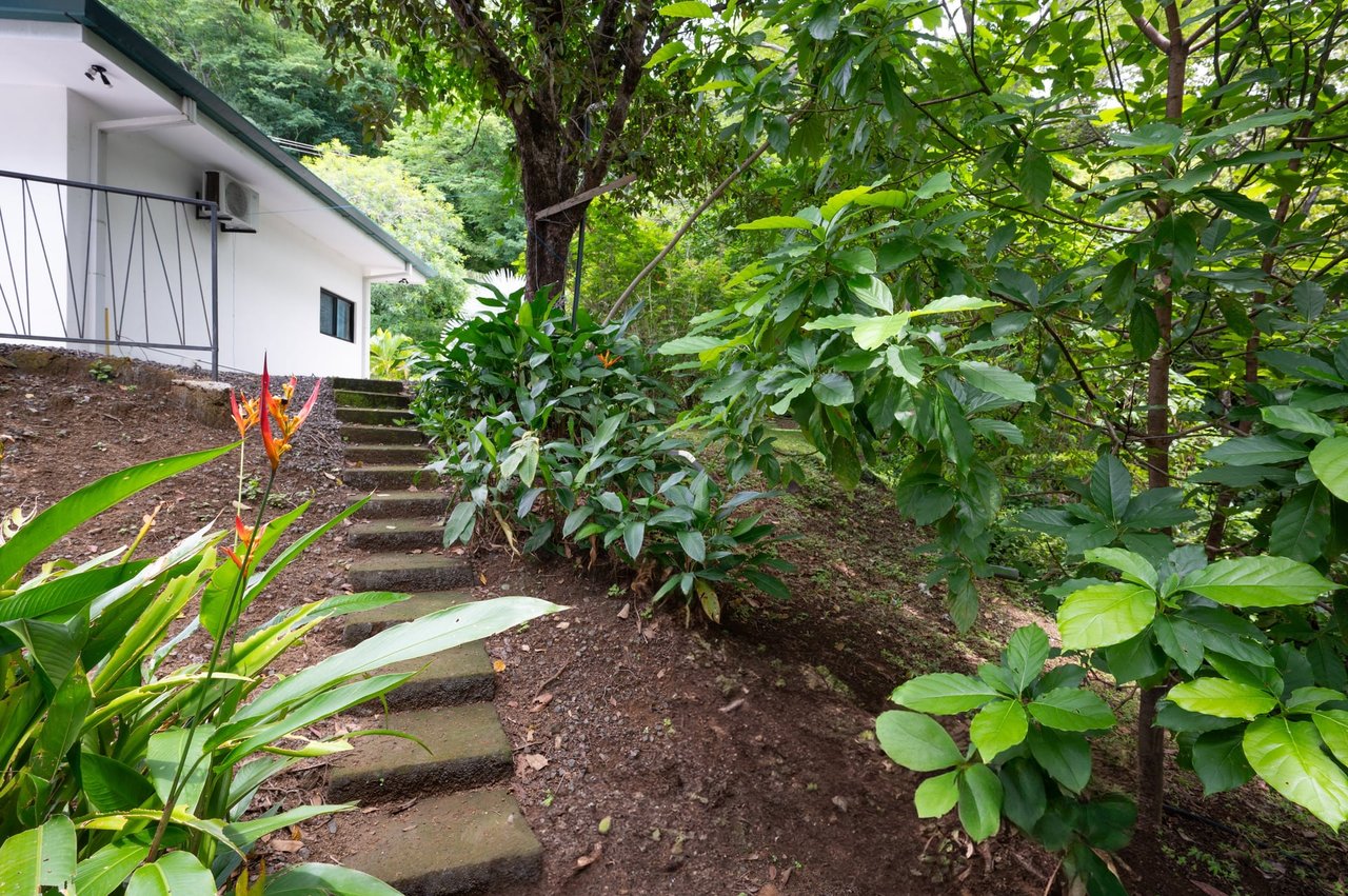 V-Domi Panama | Modern 3-Bedroom Villa with Pool on Expansive 6,078 m² Forest Lot in Finca Panamá, Tamarindo