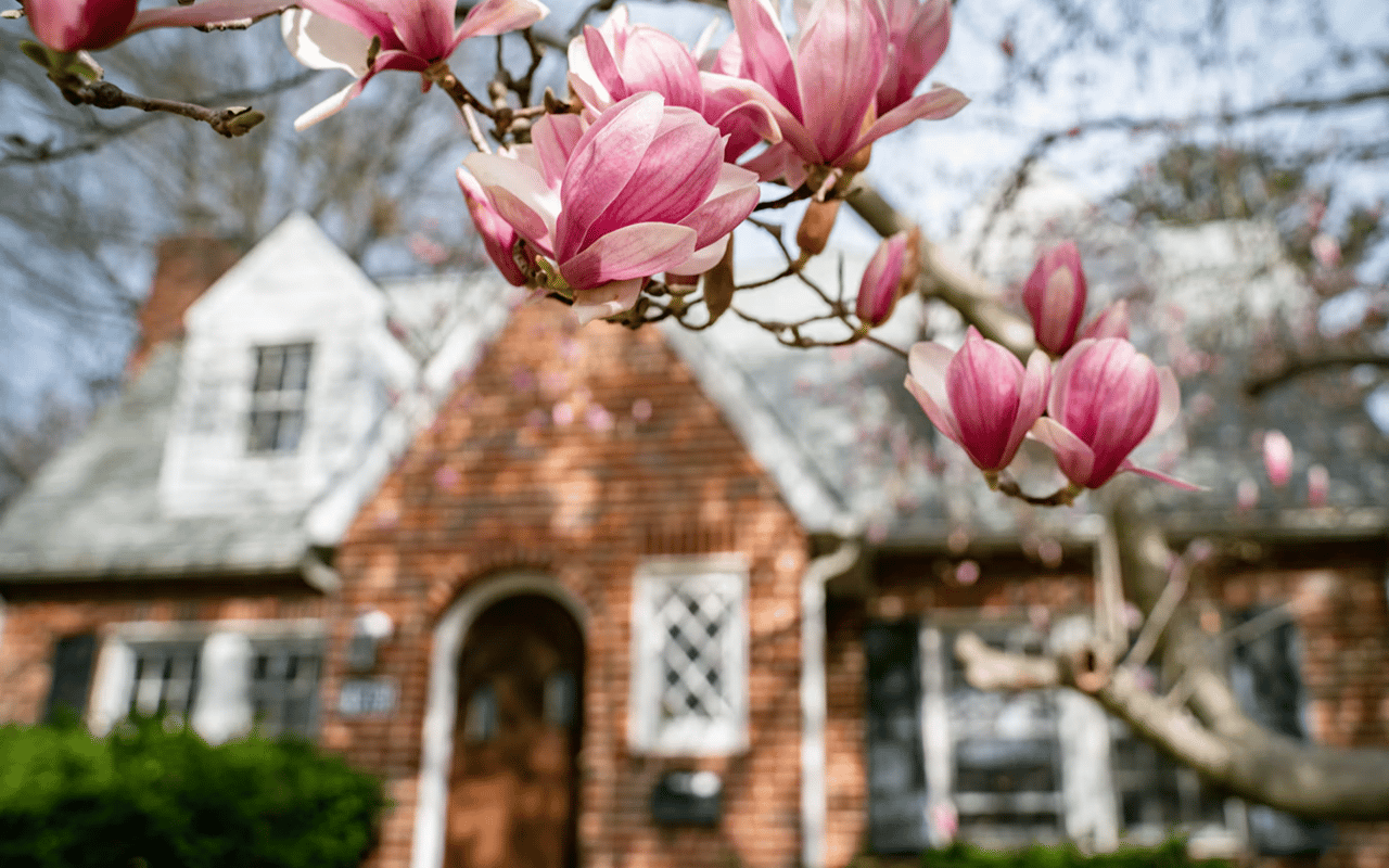 How Seasonal Market Cycles Affect Charlotte Property Prices