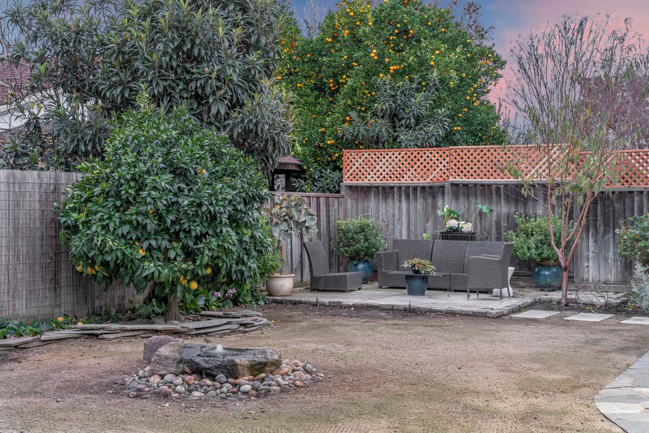 Pleasanton Meadows Gem