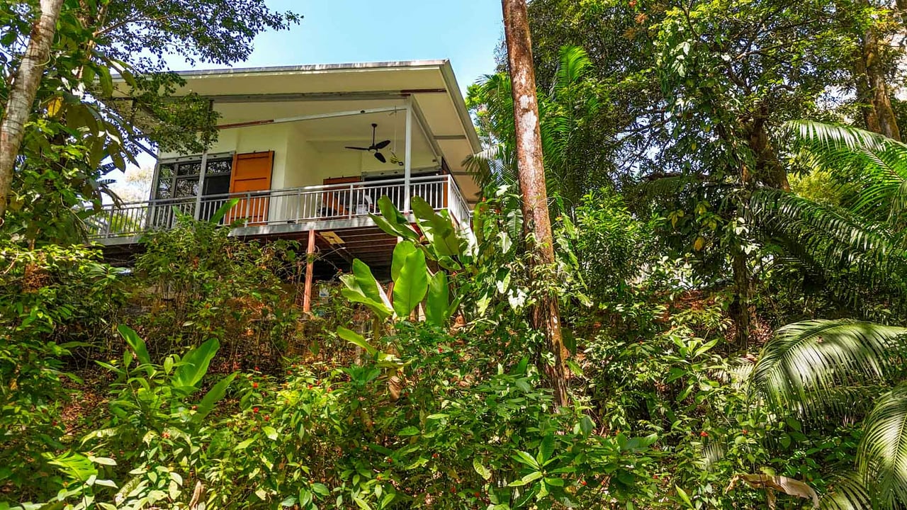 Uvita Jungle Home for Sale | Private Creek Lot Near Marino Ballena
