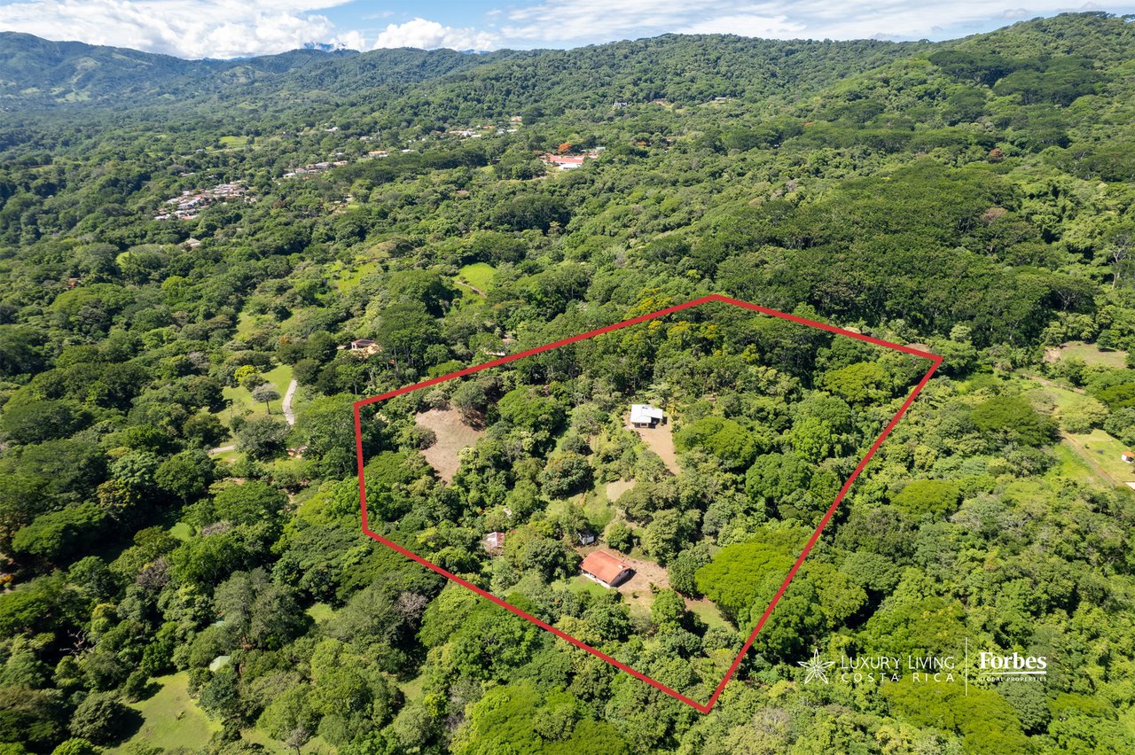 Aerial view of a wooded property outlined in red, with two houses among trees and clearings.
