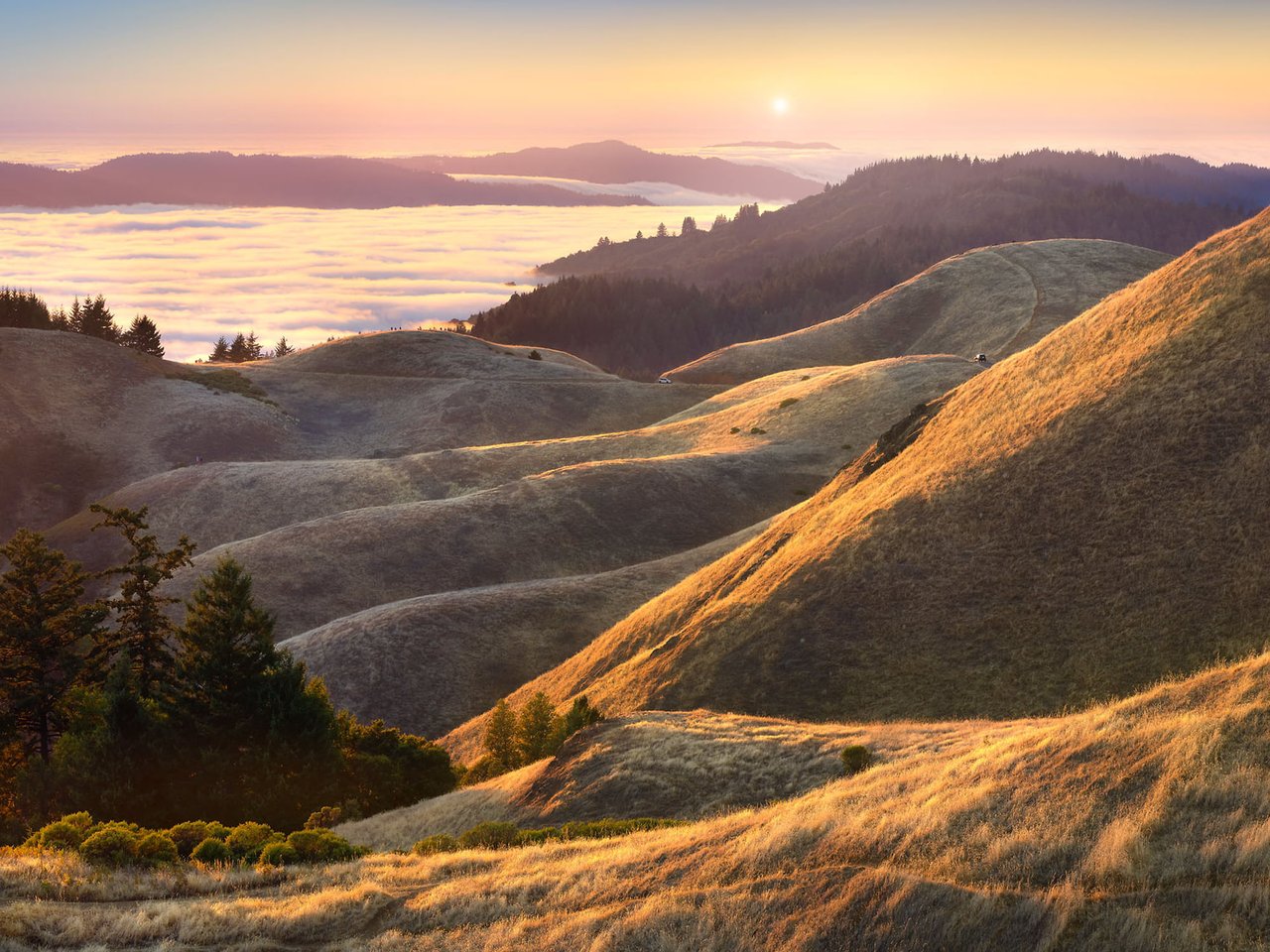 West Marin