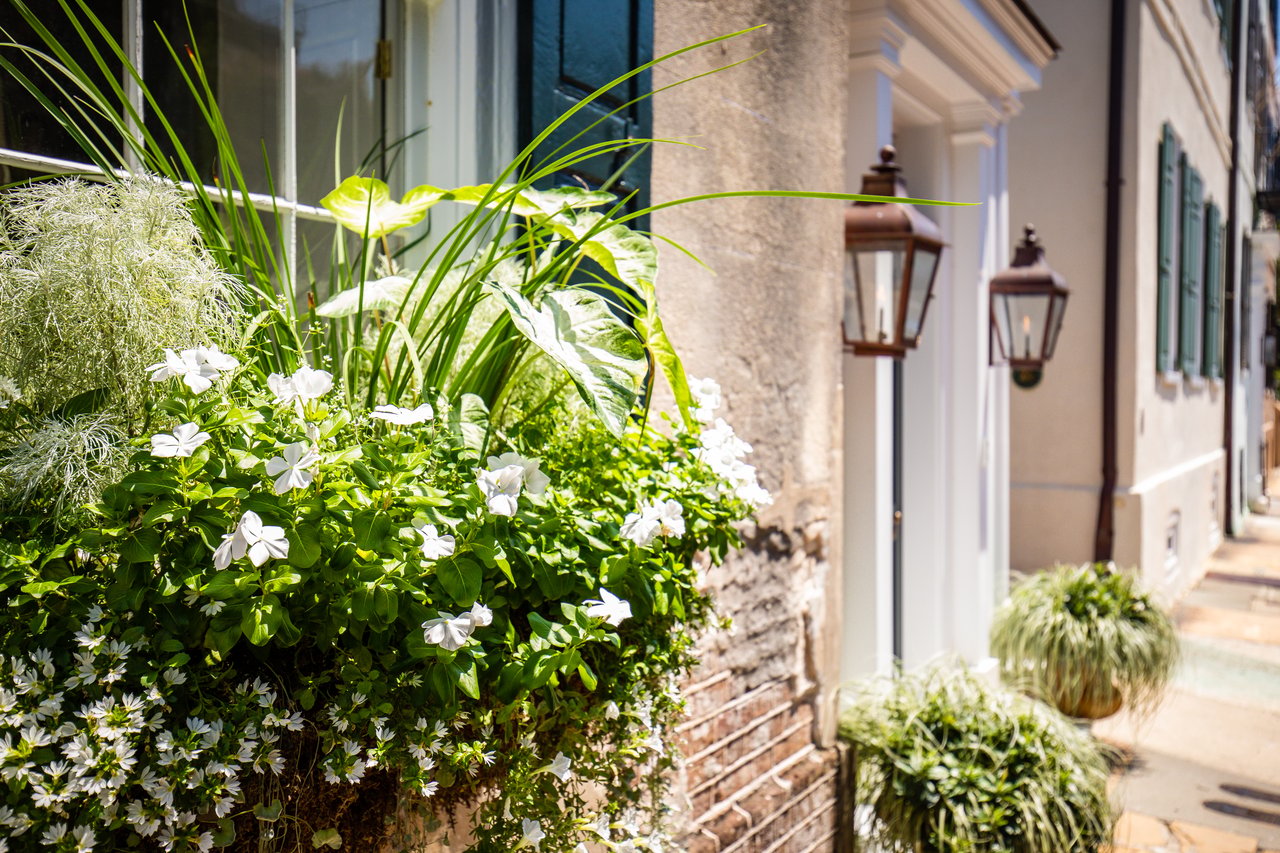 The Charm of a Charleston Windowbox