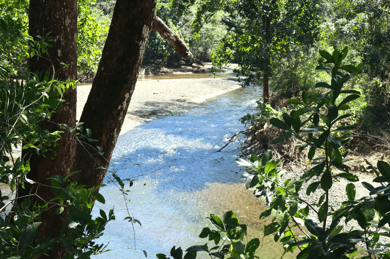 Eco Sanctuary In Playa Marbella - 250 Acre Riverfront