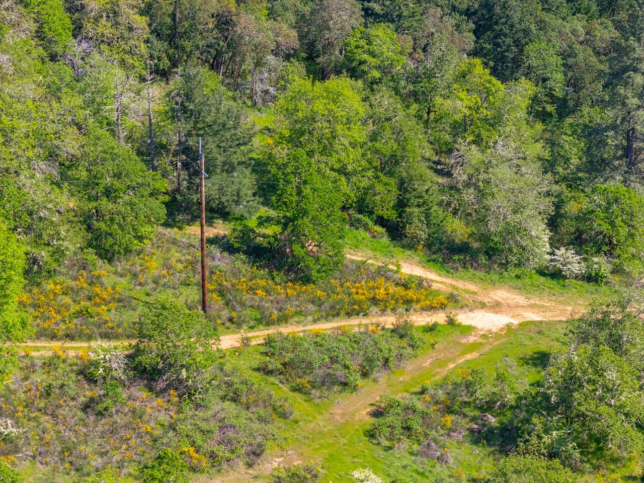 SUTHERLIN HEIGHTS