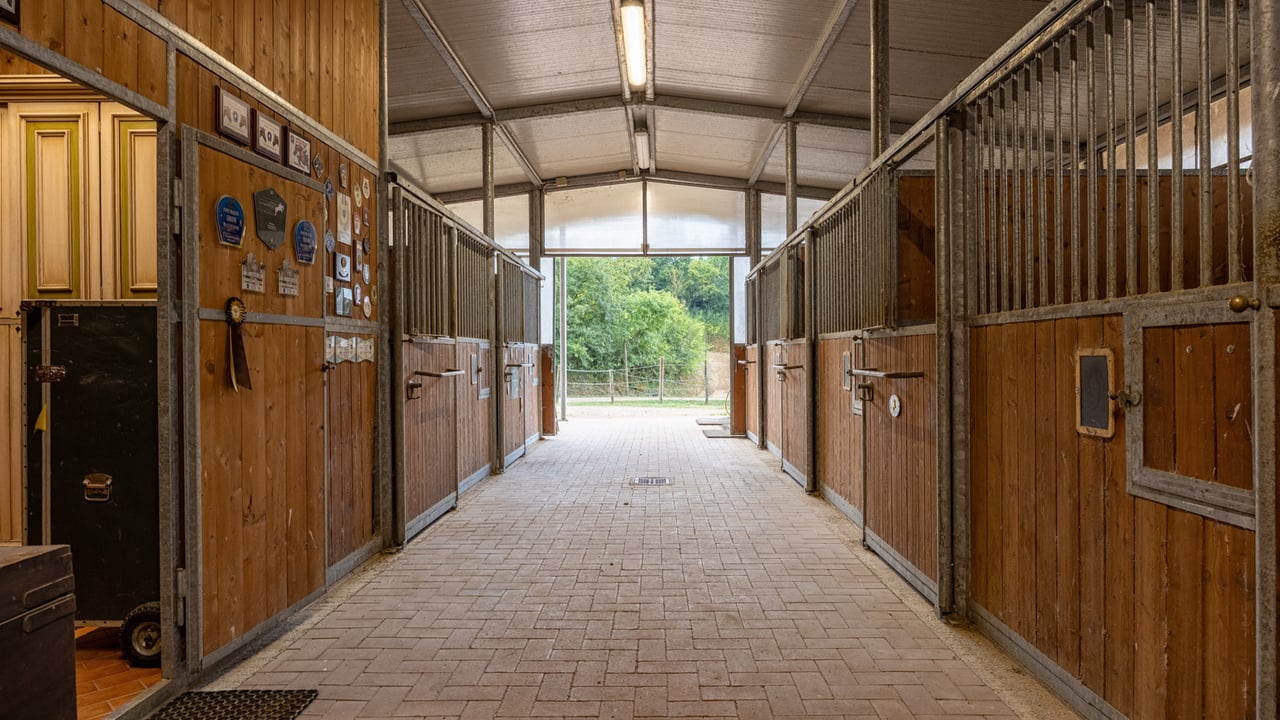 TENUTA CAVALLI CELTI