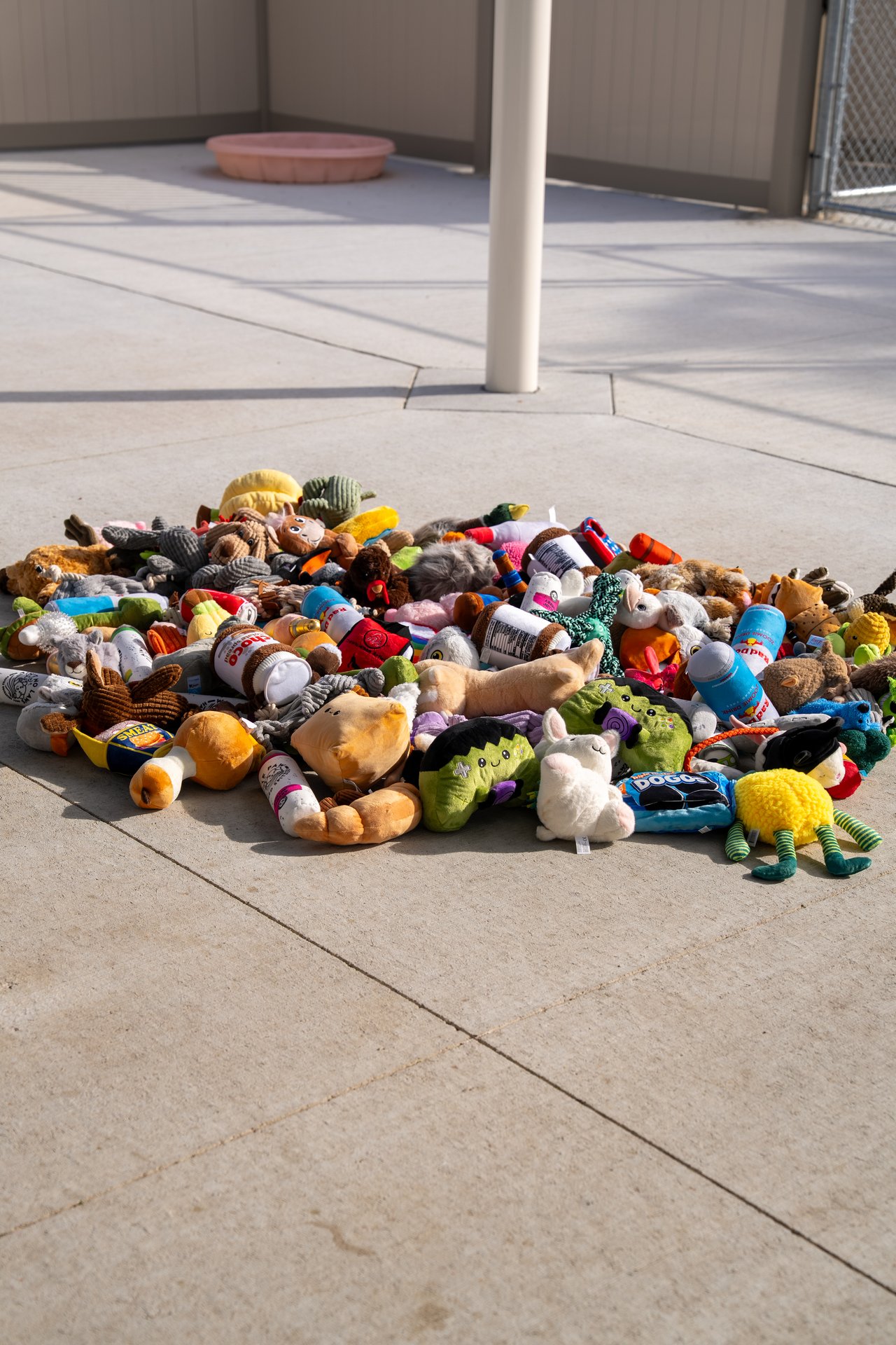 A pile of colorful dog toys spread across a sunlit concrete yard.