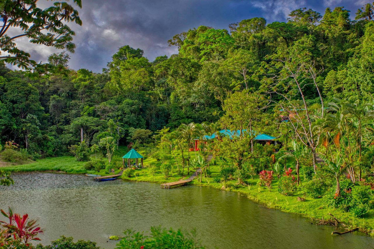 The Lucky Bug | Boutique Hotel & Investment Opportunity in Nuevo Arenal