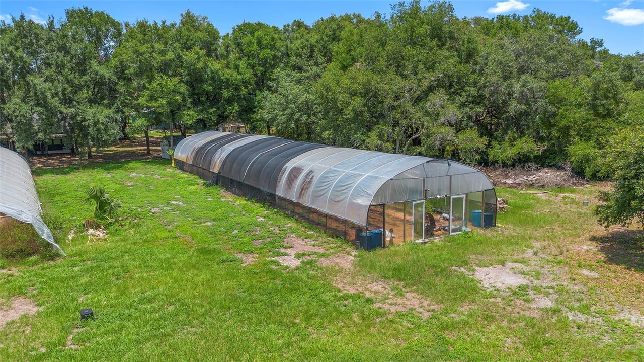 Dirty Dog Farm, Leesburg FL