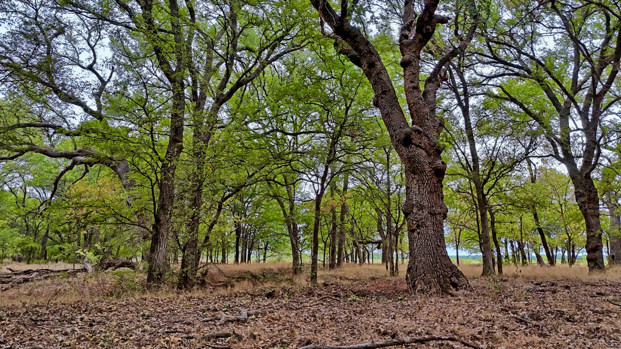 Cross Creek Ranch 