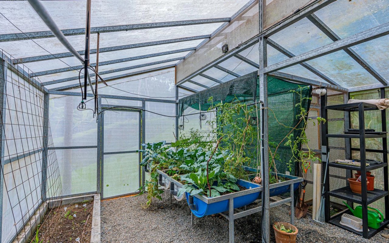Off-Grid Regenerative Homestead, Perez Zeledon, San Jose