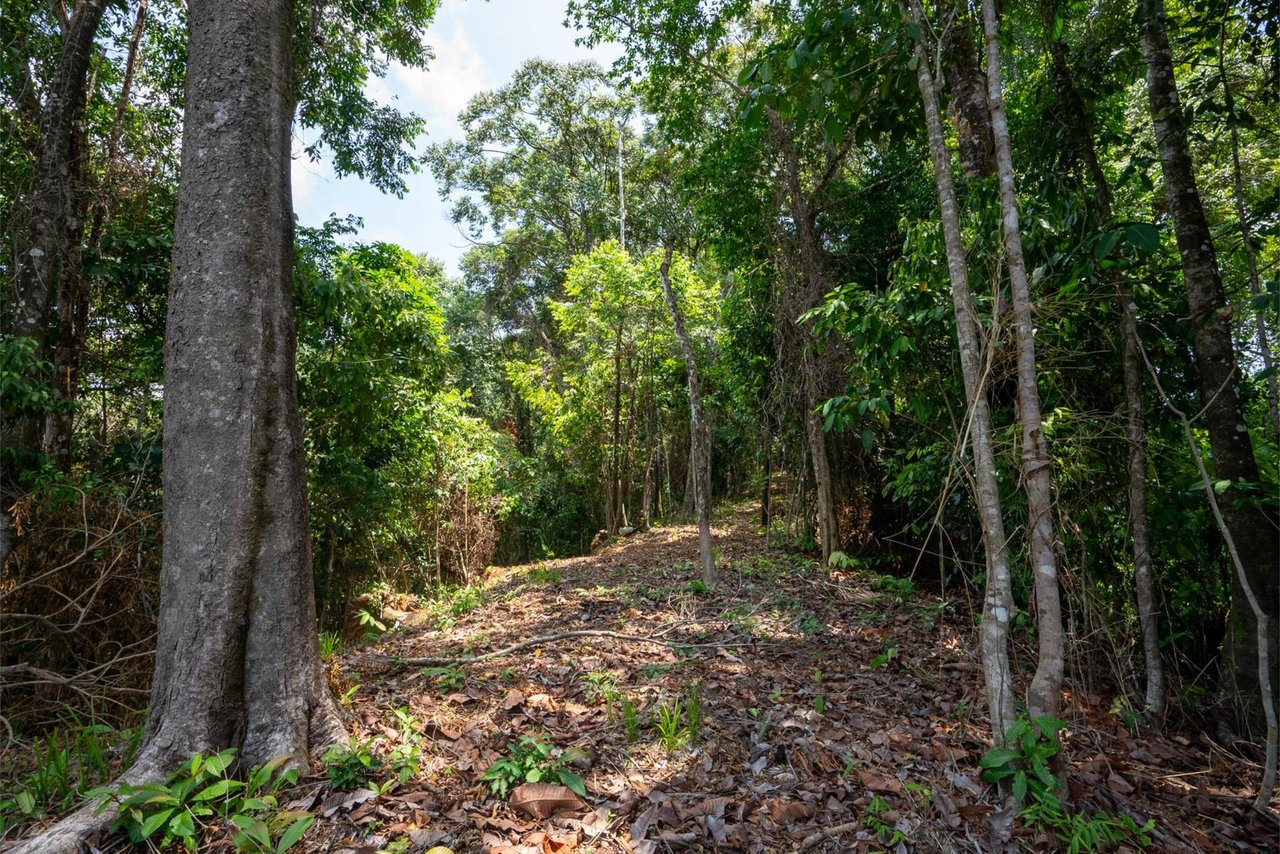 Private Ocean View Development Lot, Dominical, Puntarenas