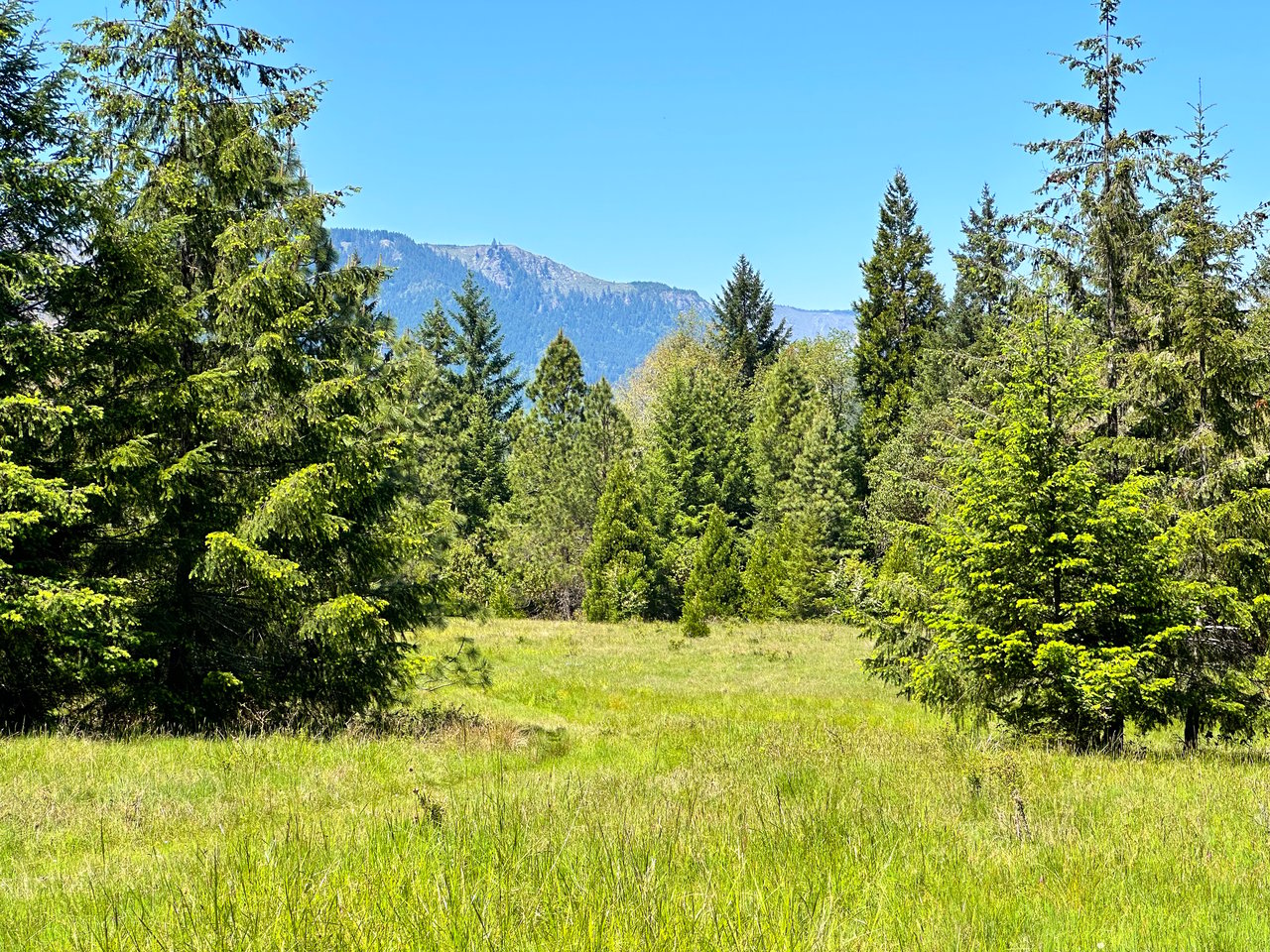 WAGON ROAD HOMESTEAD