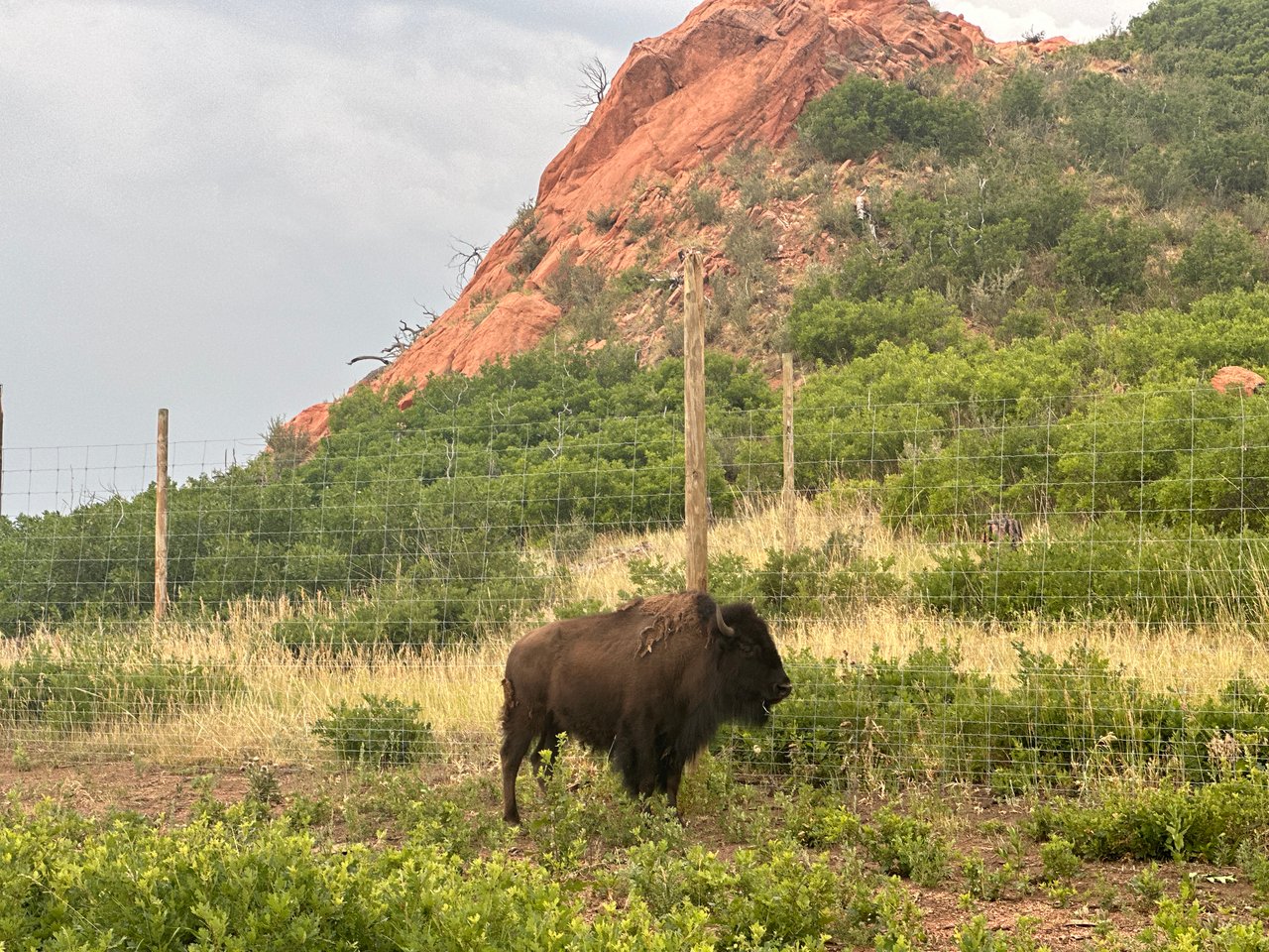 Western Spirit Meets Modern Dreams: Monica Breckenridge Explores Flying W Ranch on American Dream TV