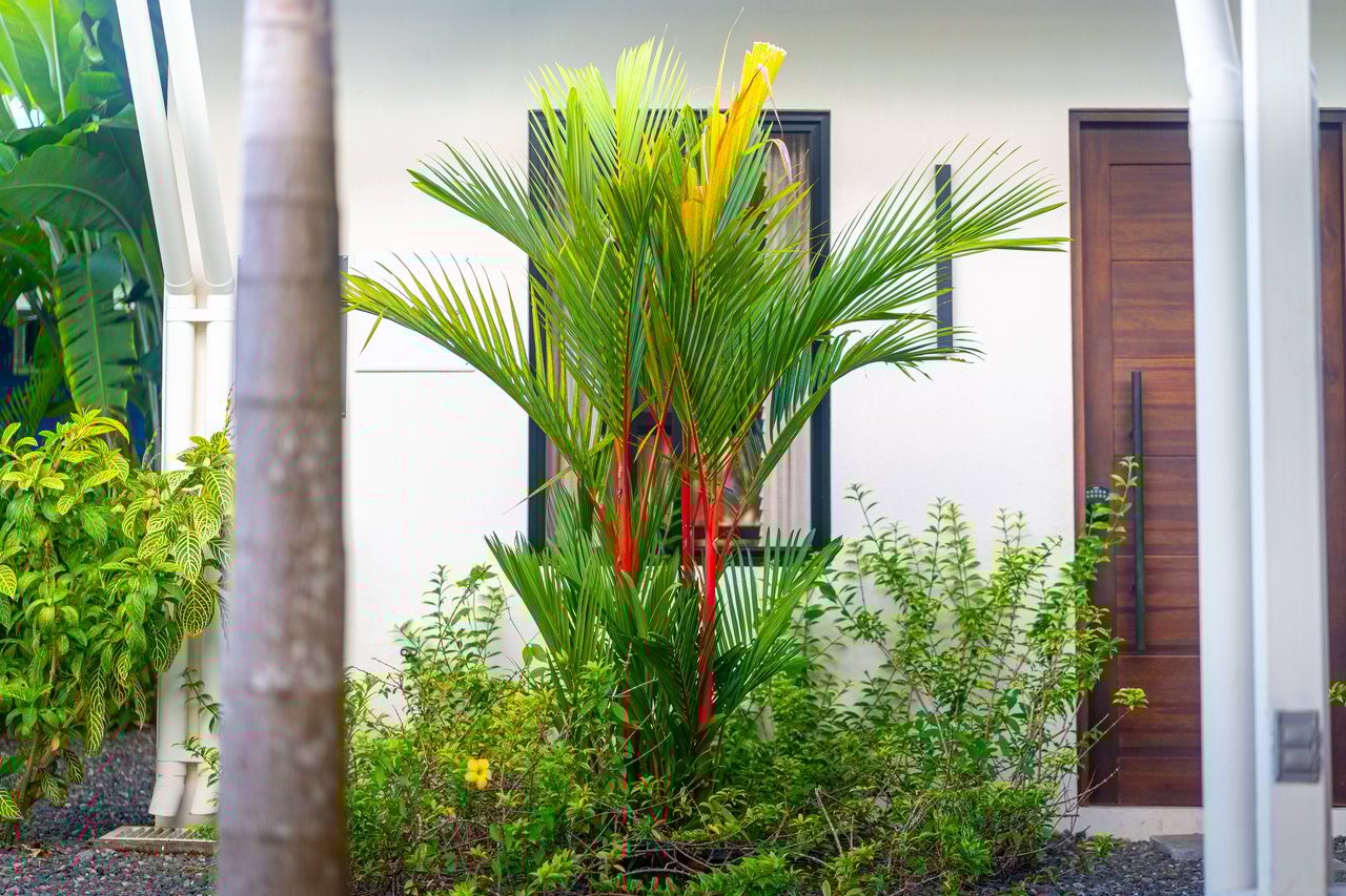 Income Ready Boutique Investment near Whale's Tail Beach