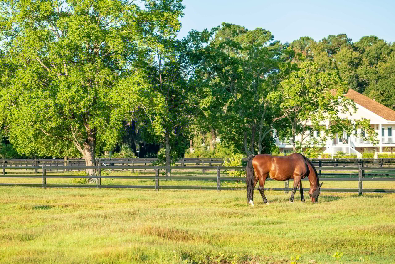 Rose Hill