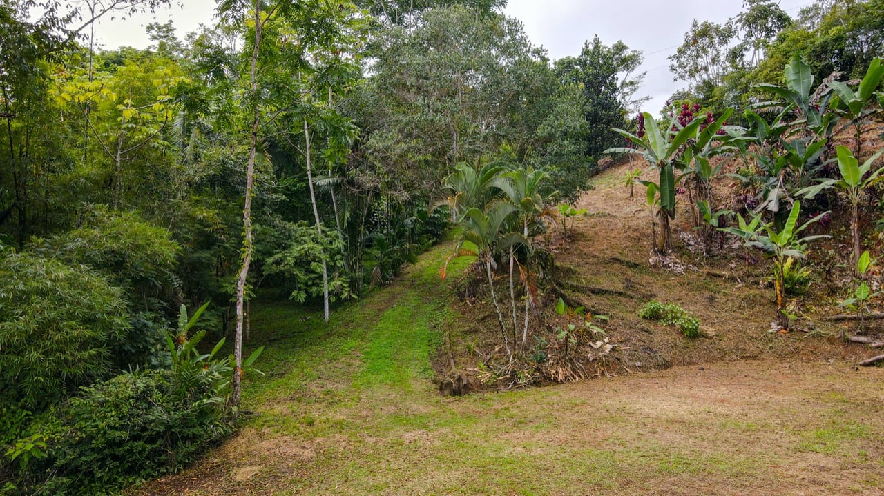 Scenic 2.53 Acres in Fila Cacao Ridge – Build-Ready Lot with Legal Water in Platanillo!