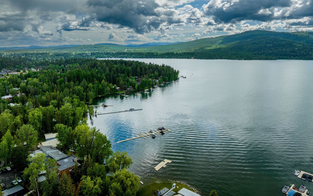 Whitefish