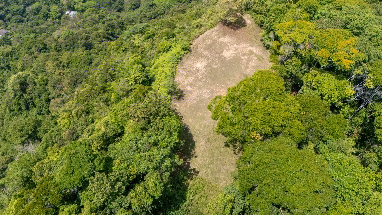 136 Acres of Oceanview Land with Multiple Building Sites | A Rare Development Opportunity in Costa Rica