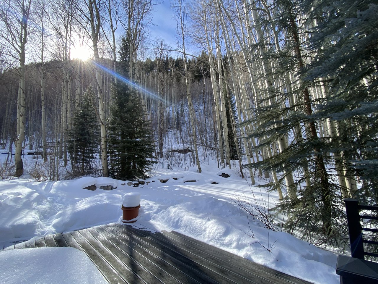 3988-A  Lupine Drive