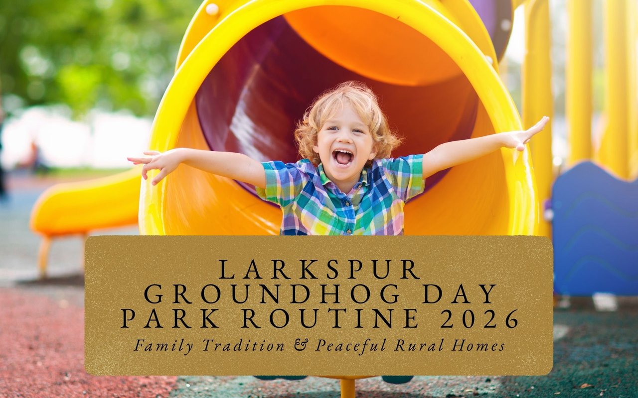  Children giggling while hunting shadows on playground equipment during Larkspur Groundhog Day celebration, winter sun low.