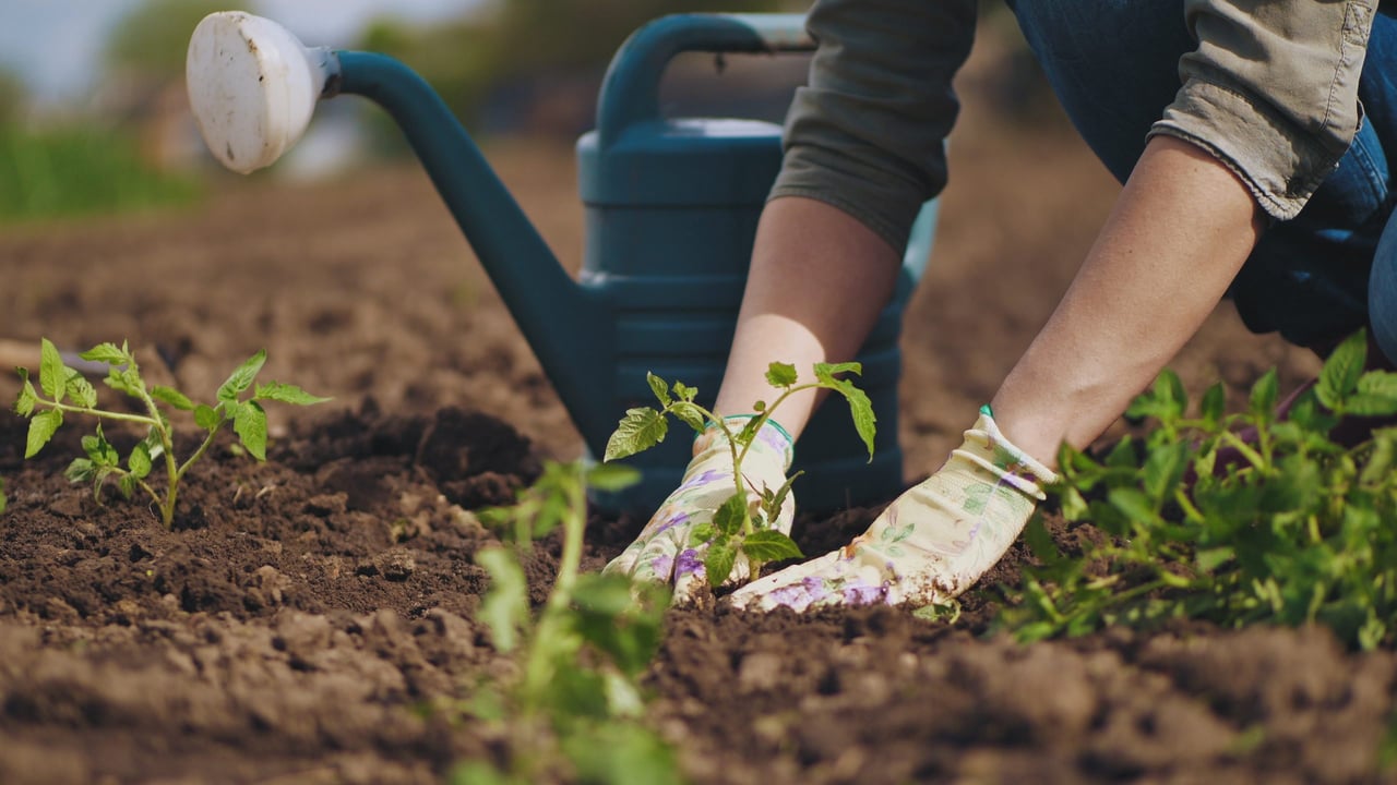 More Plant Options with the New Climate Zones