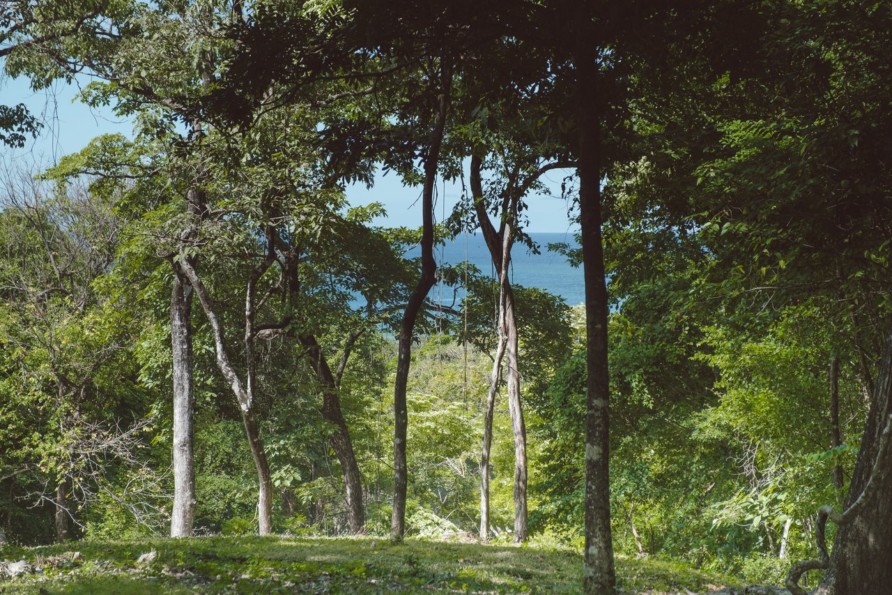 Premier Ocean View Homesite, Nosara, Guanacaste