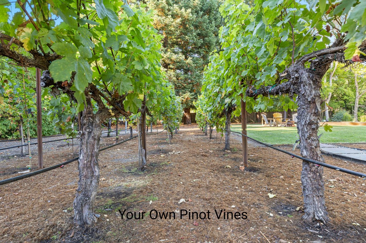 The River Ranch: Life Elevated 