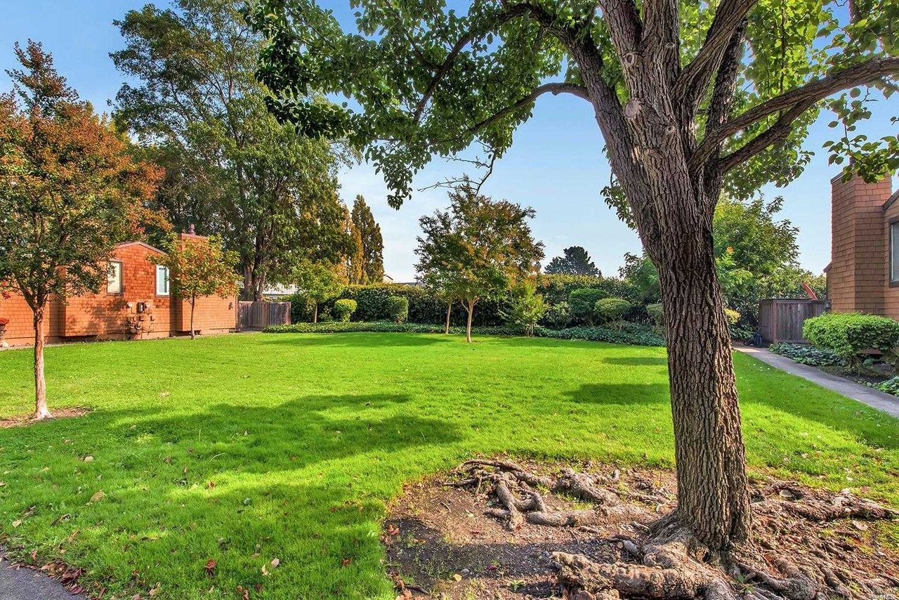 850 E Cotati Ave Apt 14