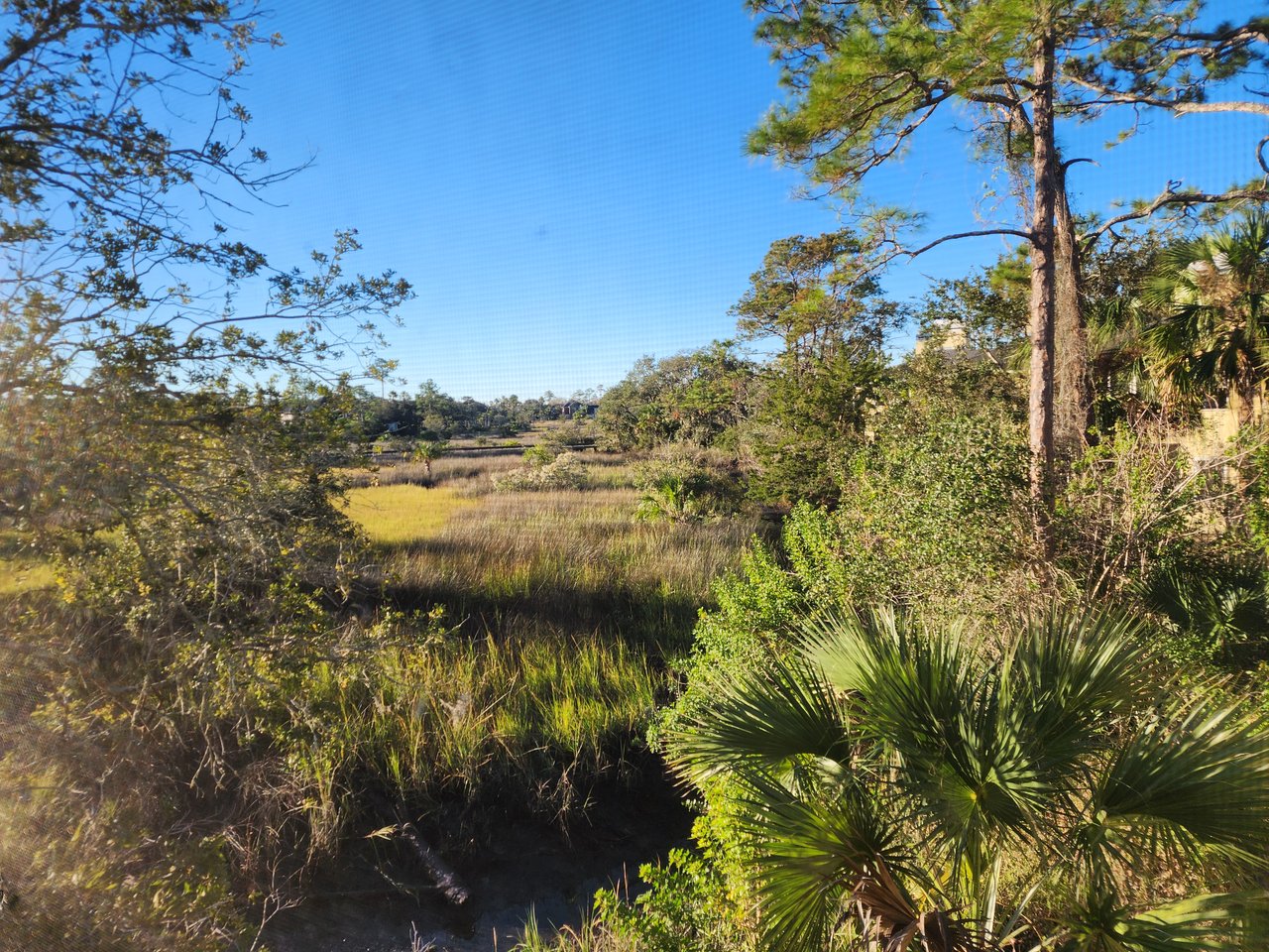 FOR LEASE Jacksonville Beach Condo 