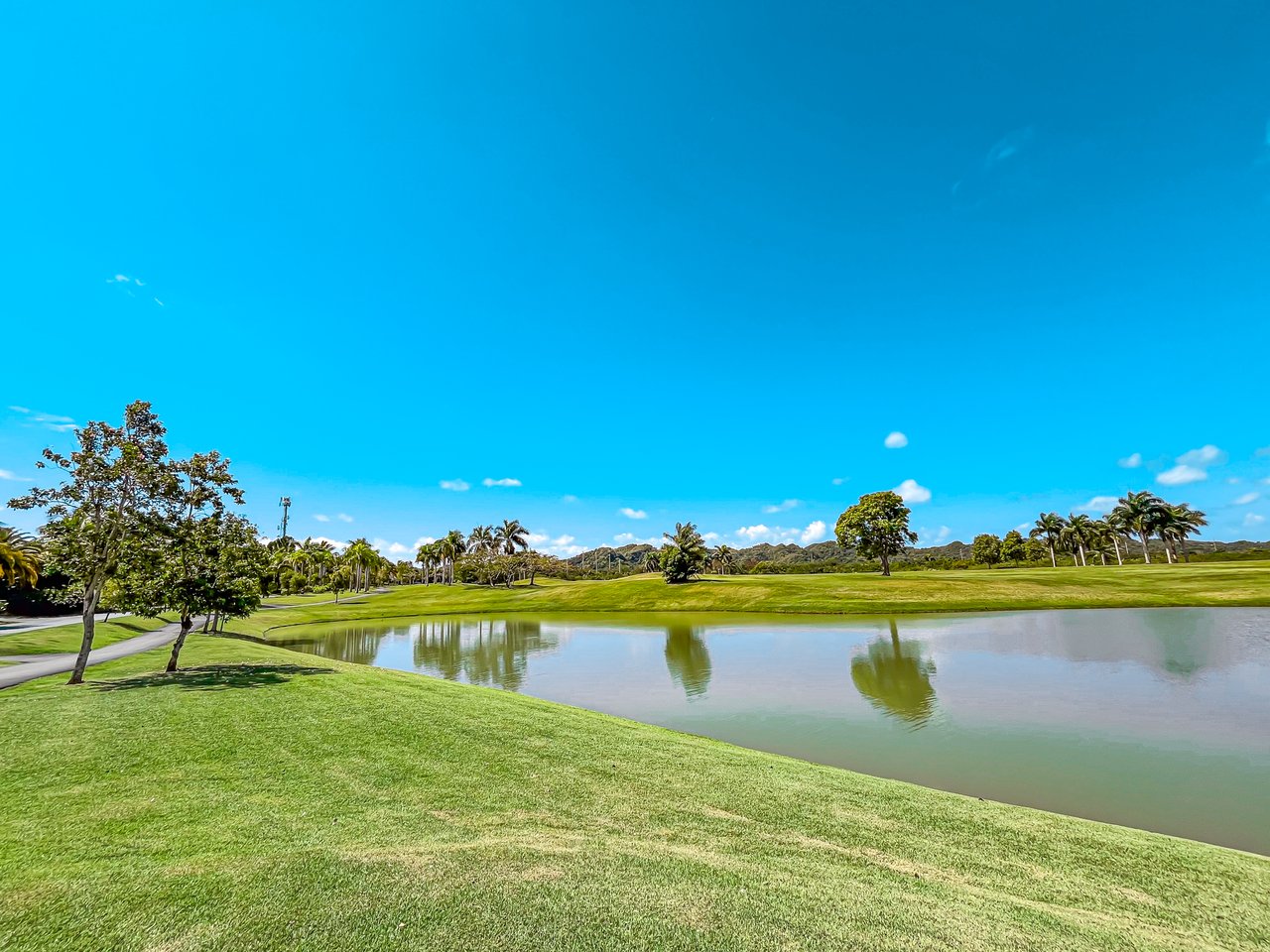 Dorado Beach East 28