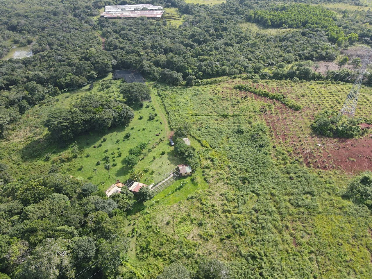 Serenity Ranch Avocado Farm | Countryside Agricultural Land For Sale in La Cruz