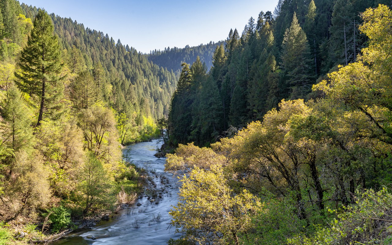 North Fork