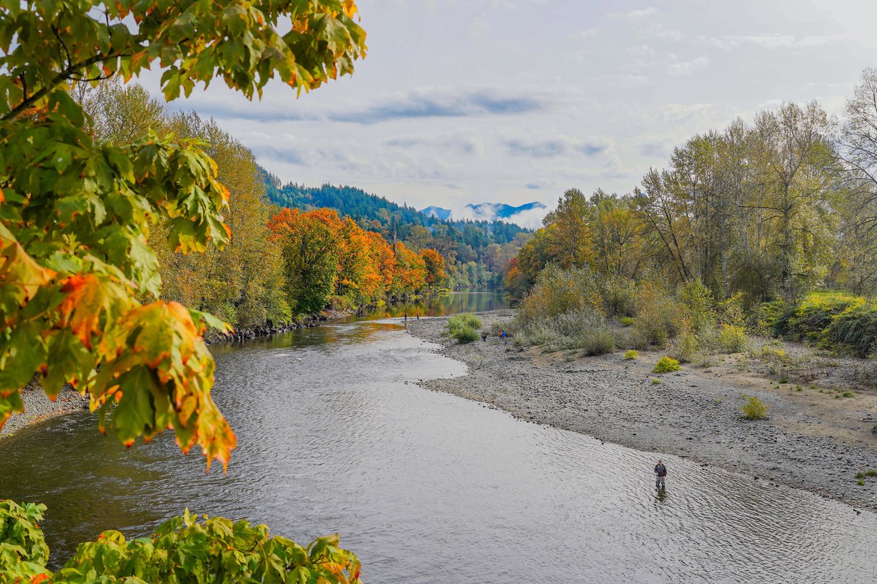 Fall City