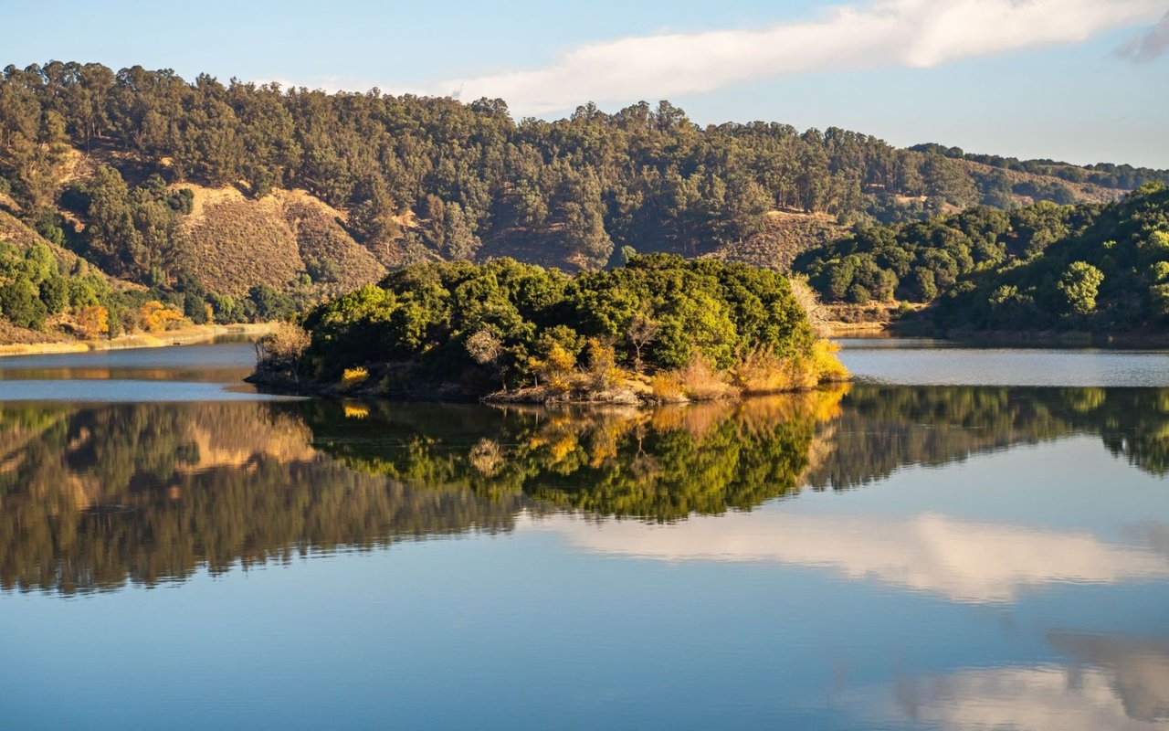 Castro Valley