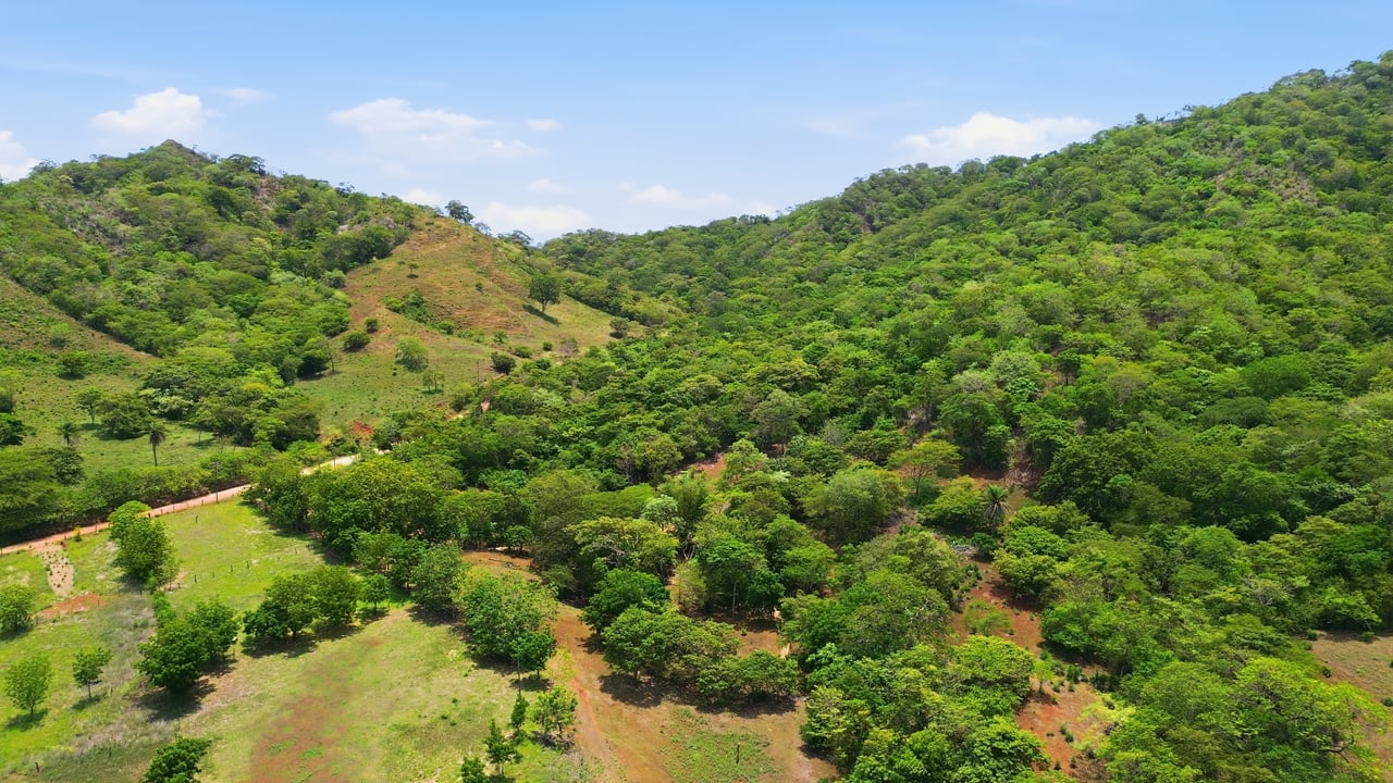 3.4 Acres of Quiet Country Living | 12 minutes from the Beach - Tempate 