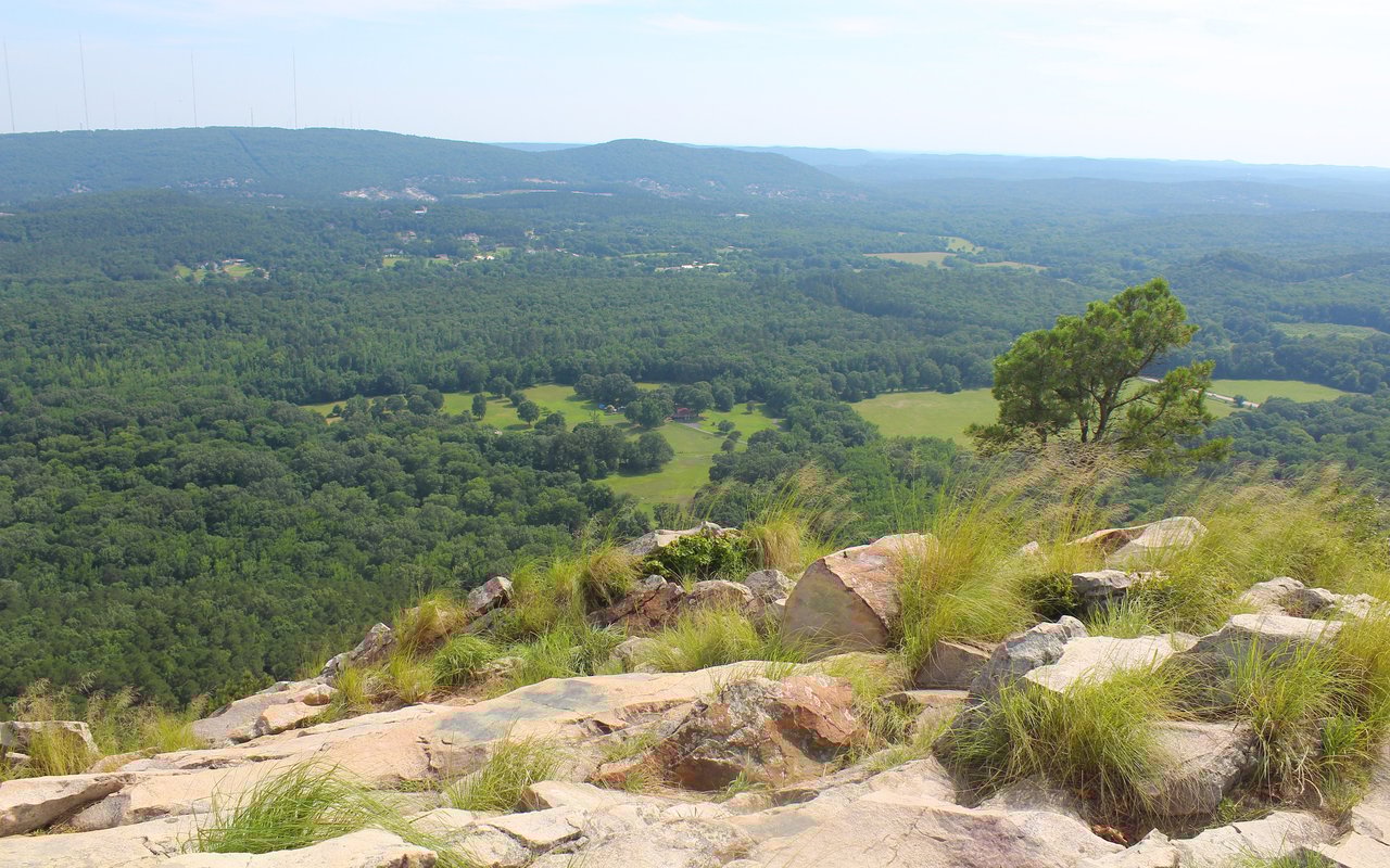 contact-form-background