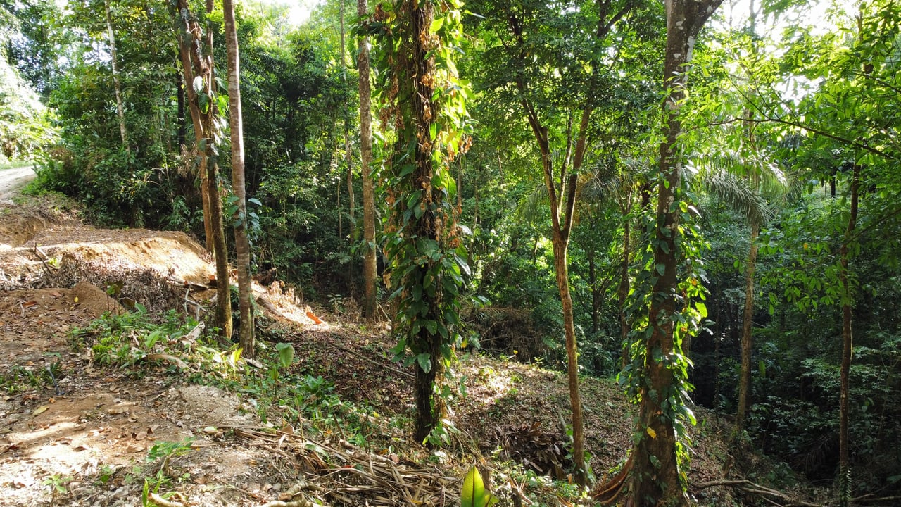 Unique property with terraces and spectacular views near Manuel Antonio National Park