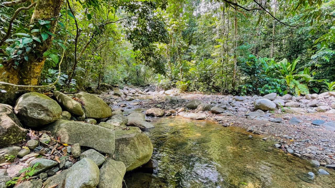 5.32-Acre Riverfront Property with Multiple Homes & Expansion Potential, The Possibilities are limitless!