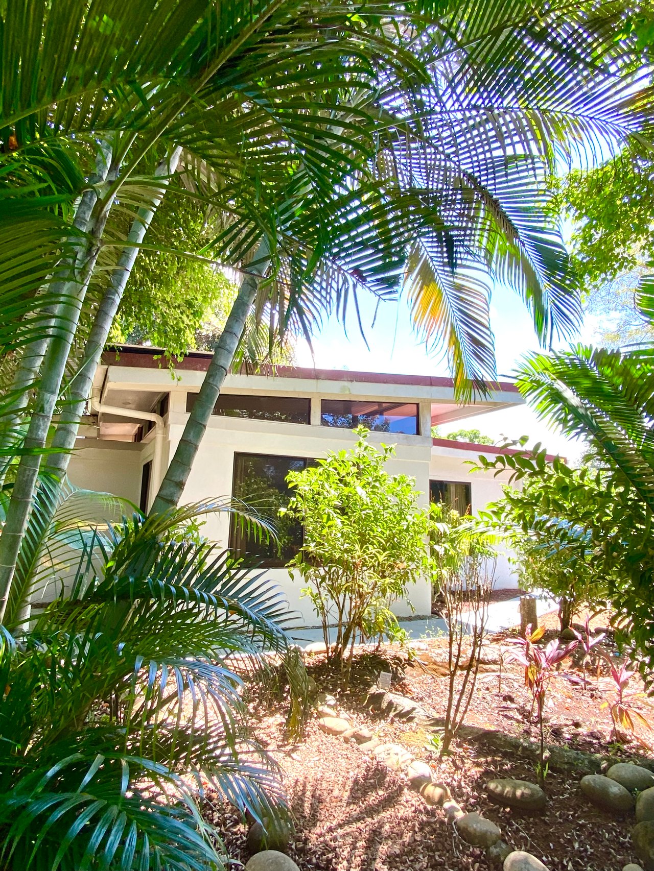 2 Homes in Ojochal Live and Earn in Paradise
